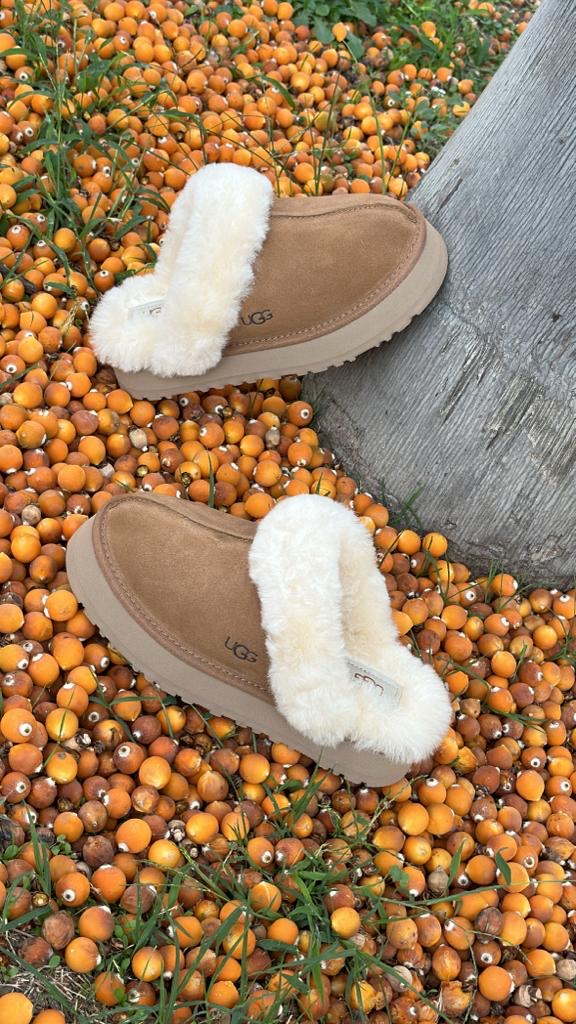 UGG DISQUETTE CAMMELLO