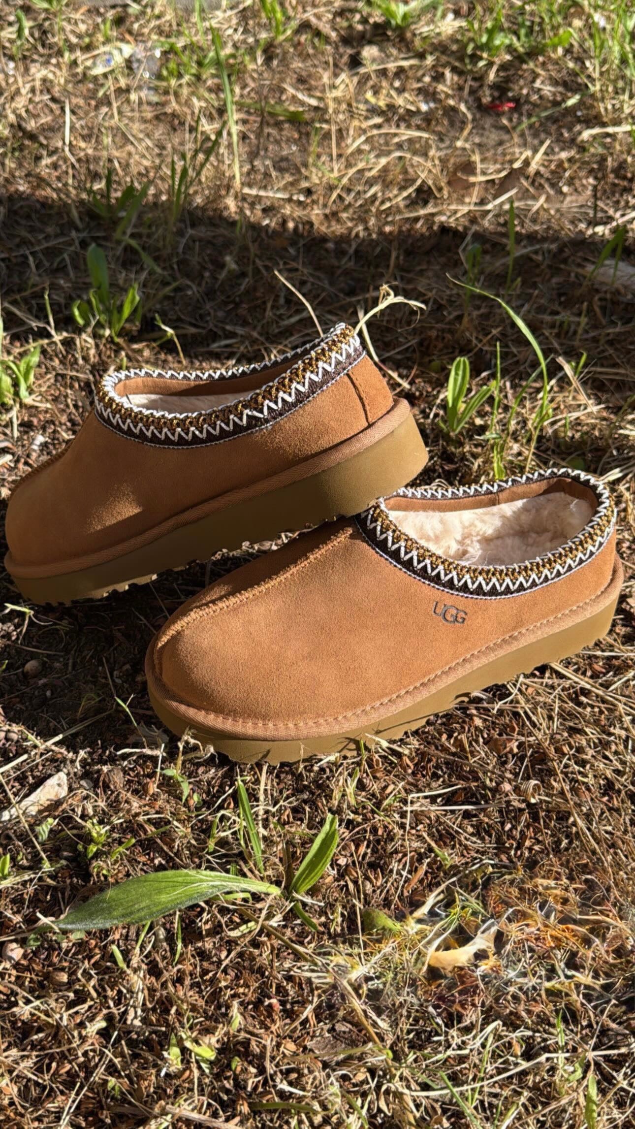 UGG TASMAN